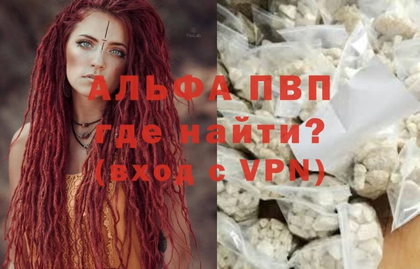 ПСИЛОЦИБИНОВЫЕ ГРИБЫ Щигры