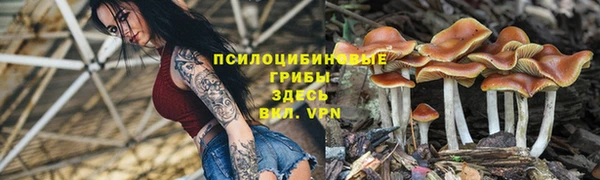 трава Карталы