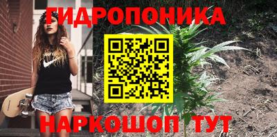 молекула духа Гусь-Хрустальный